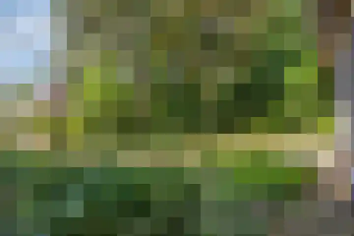Bovensteweg 34 Mook thumbnail 33