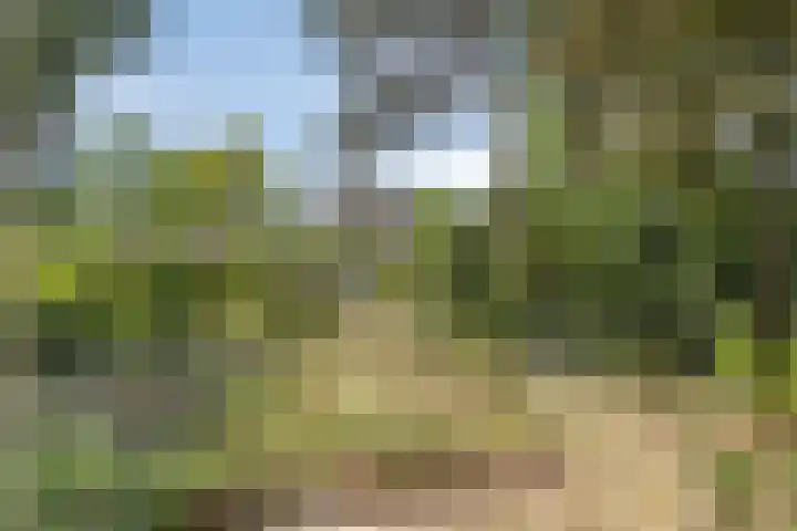 Bovensteweg 34 Mook thumbnail 34