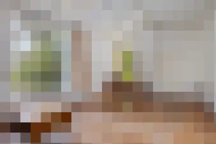 Bovensteweg 34 Mook thumbnail 9