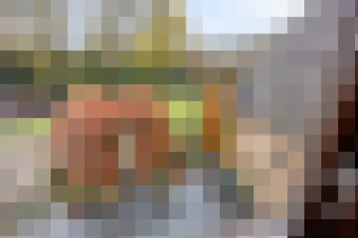 Bovensteweg 41 Mook thumbnail 21