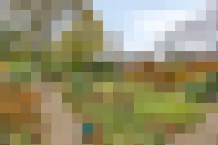 Bovensteweg 41 Mook thumbnail 32