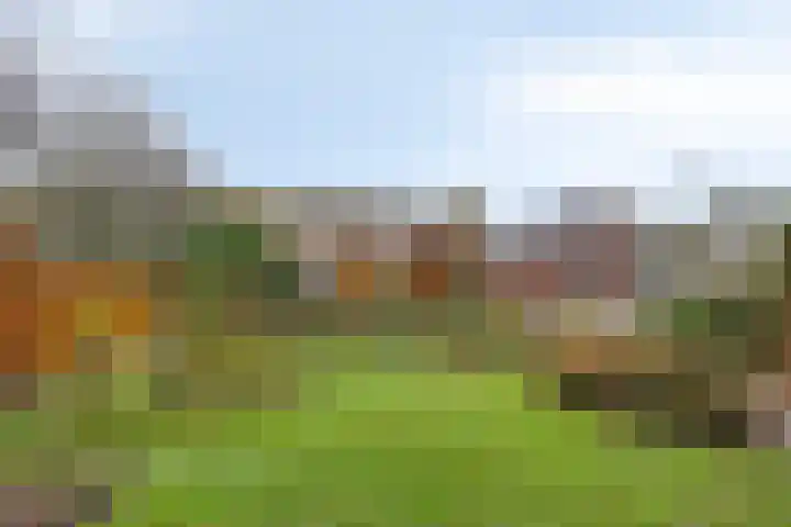 Bovensteweg 41 Mook thumbnail 35