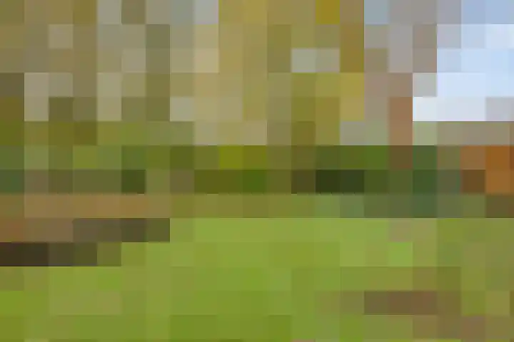 Bovensteweg 41 Mook thumbnail 36
