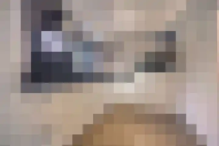 Bovensteweg 41 Mook thumbnail 8