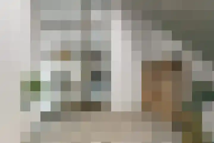 Bovensteweg 42 Mook thumbnail 10