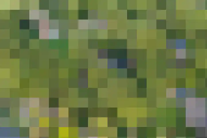 Bovensteweg 42 Mook thumbnail 101