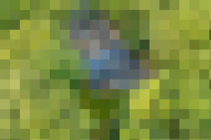 Bovensteweg 42 Mook thumbnail 104