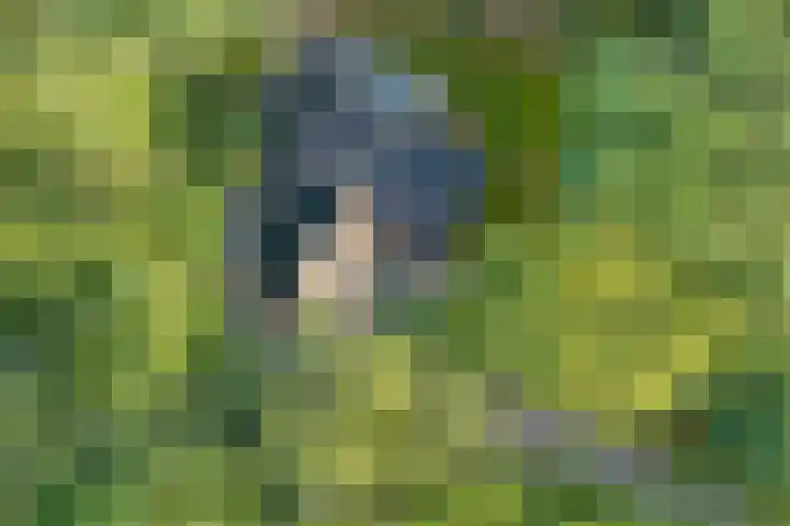 Bovensteweg 42 Mook thumbnail 105