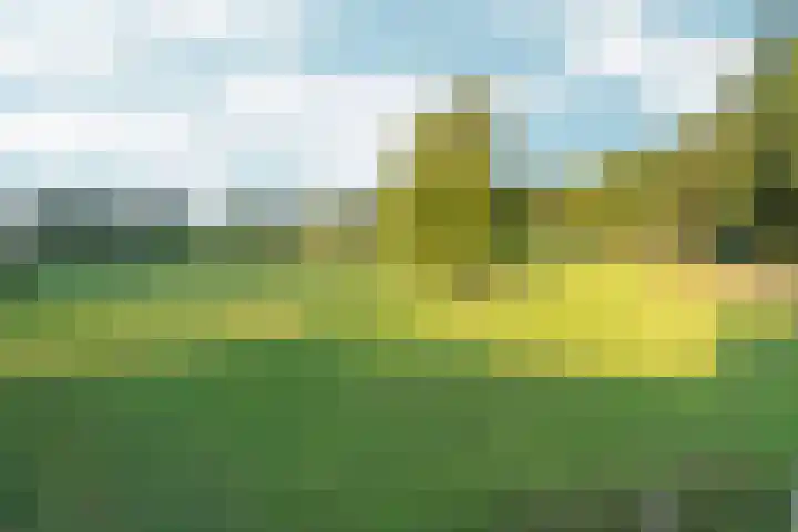 Bovensteweg 42 Mook thumbnail 106