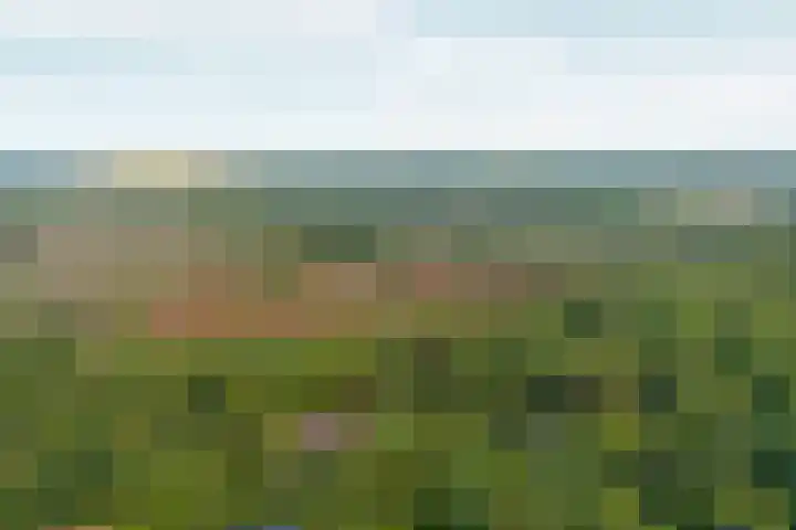 Bovensteweg 42 Mook thumbnail 108