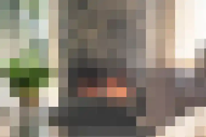 Bovensteweg 42 Mook thumbnail 19