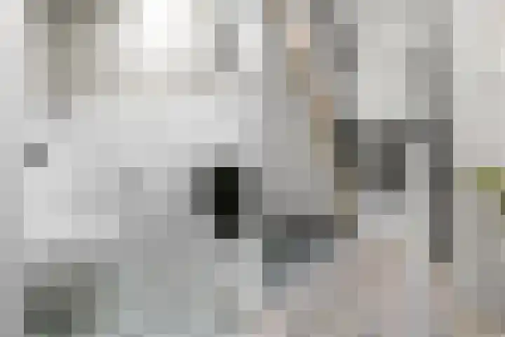 Bovensteweg 42 Mook thumbnail 46