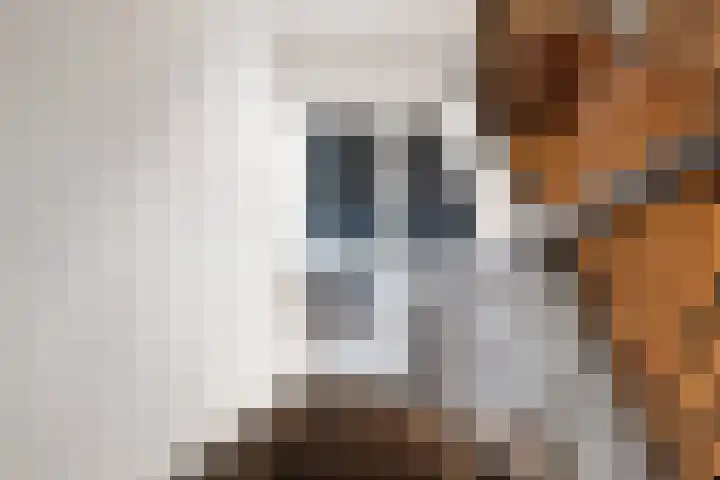 Bovensteweg 42 Mook thumbnail 48