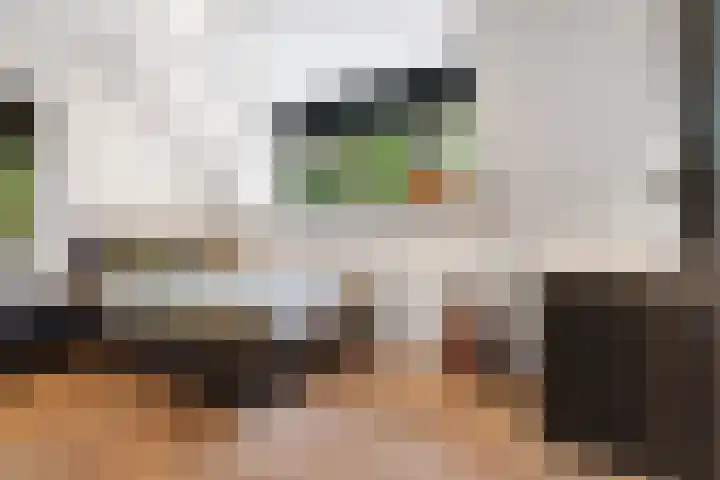 Bovensteweg 42 Mook thumbnail 55