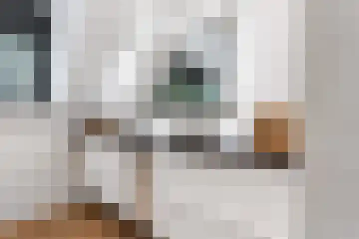 Bovensteweg 42 Mook thumbnail 62