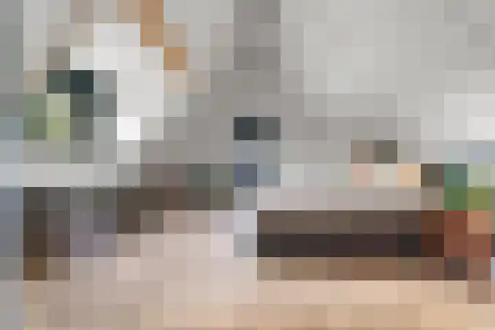 Bovensteweg 42 Mook thumbnail 68