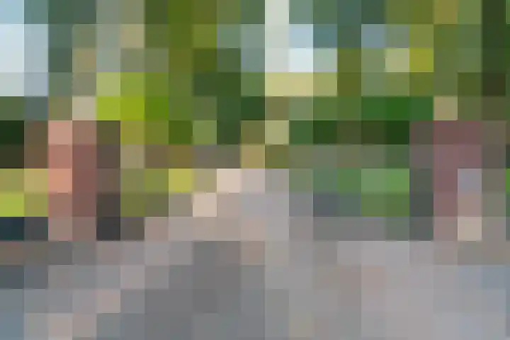 Bovensteweg 42 Mook thumbnail 75