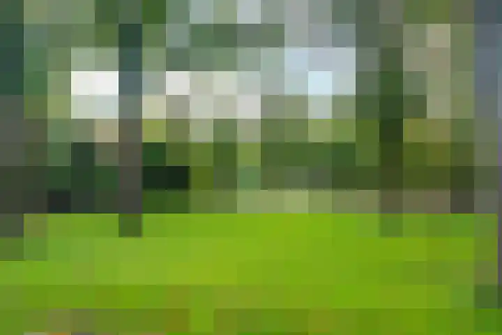 Bovensteweg 42 Mook thumbnail 77