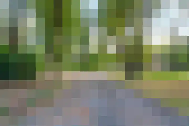 Bovensteweg 42 Mook thumbnail 79