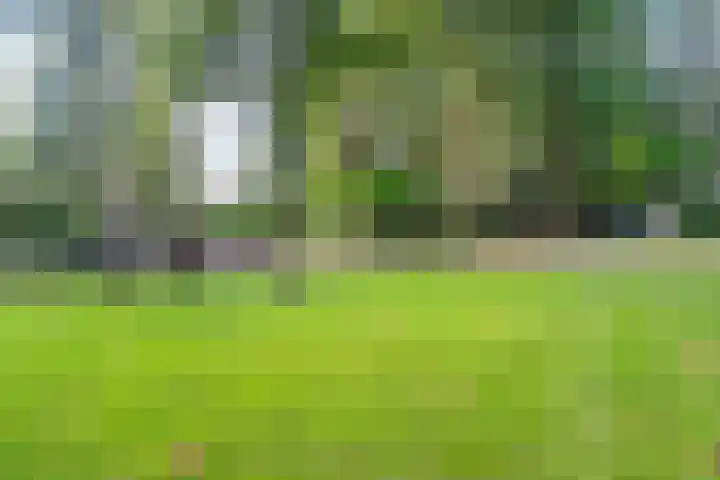 Bovensteweg 42 Mook thumbnail 80