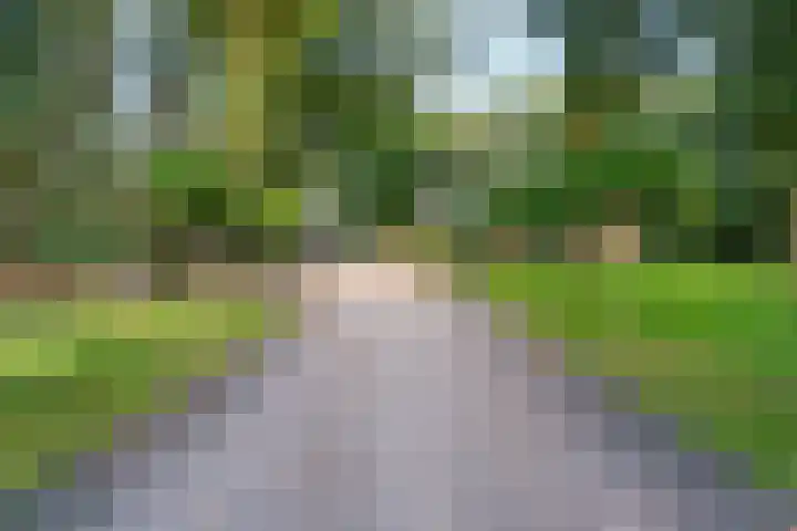 Bovensteweg 42 Mook thumbnail 81