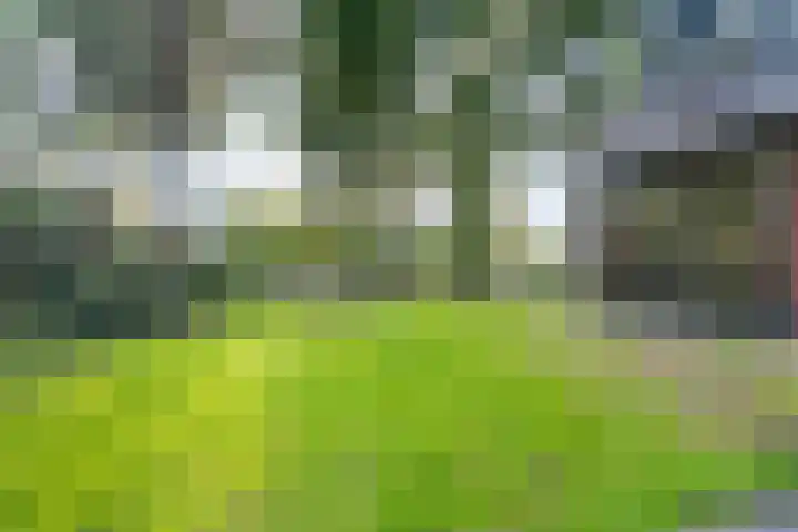 Bovensteweg 42 Mook thumbnail 88