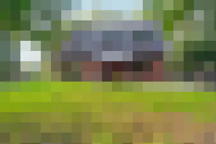 Bovensteweg 42 Mook thumbnail 89