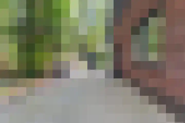 Bovensteweg 42 Mook thumbnail 92