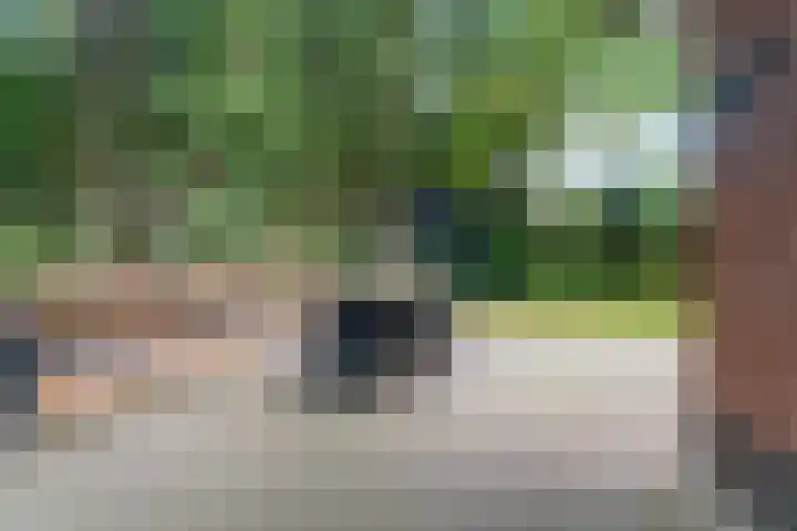 Bovensteweg 42 Mook thumbnail 93