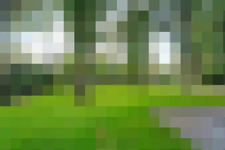 Bovensteweg 42 Mook thumbnail 95