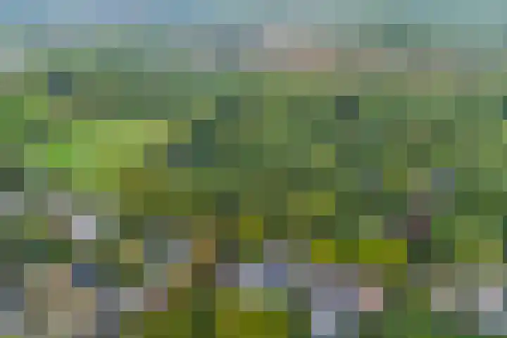 Bovensteweg 42 Mook thumbnail 96