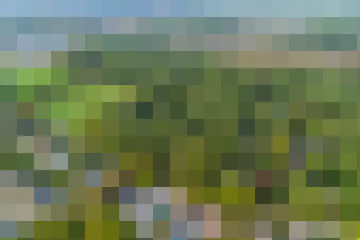 Bovensteweg 42 Mook thumbnail 97