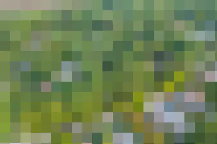Bovensteweg 42 Mook thumbnail 98