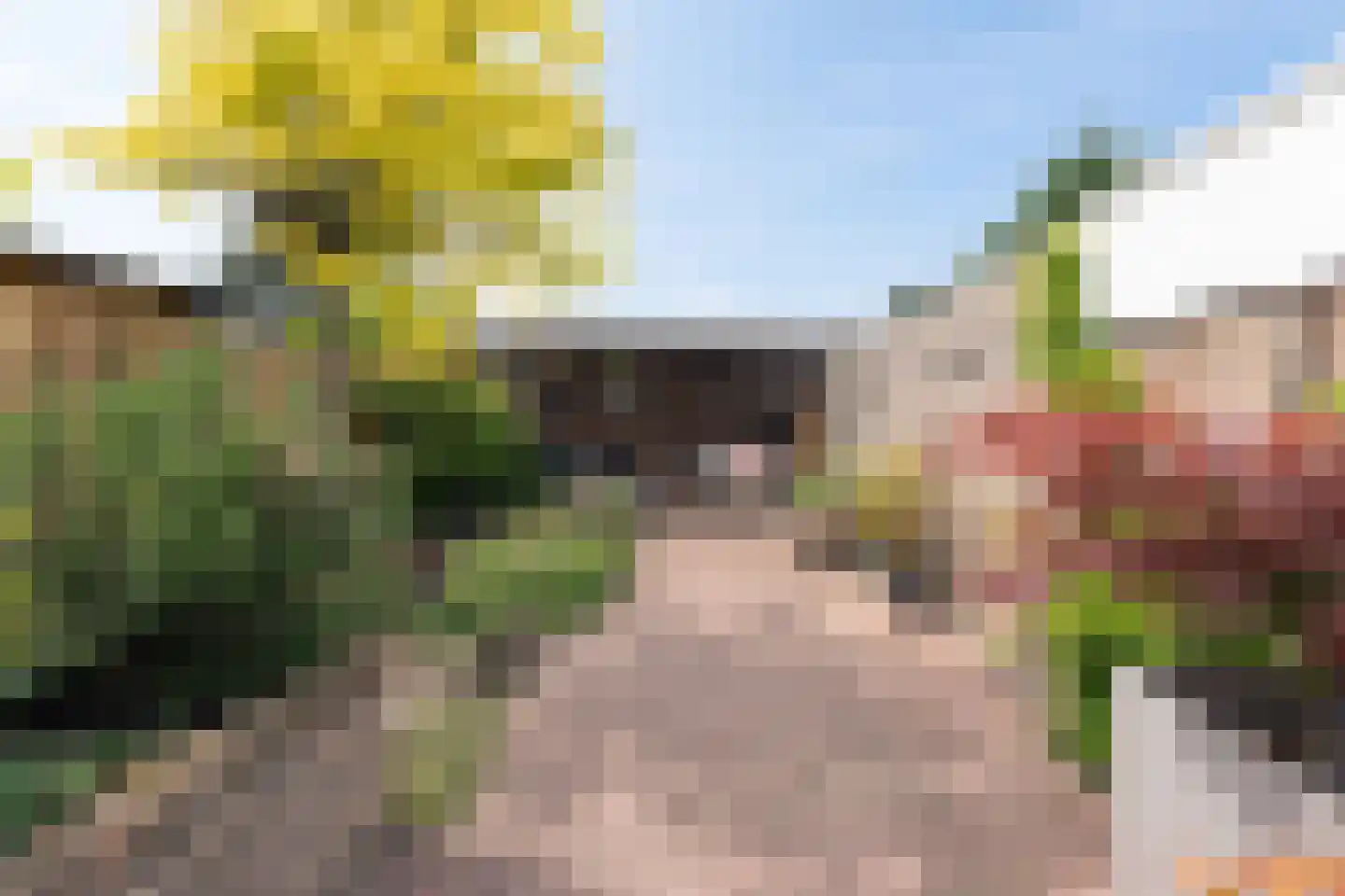 Bovenstraat 10 Limbricht thumbnail 10