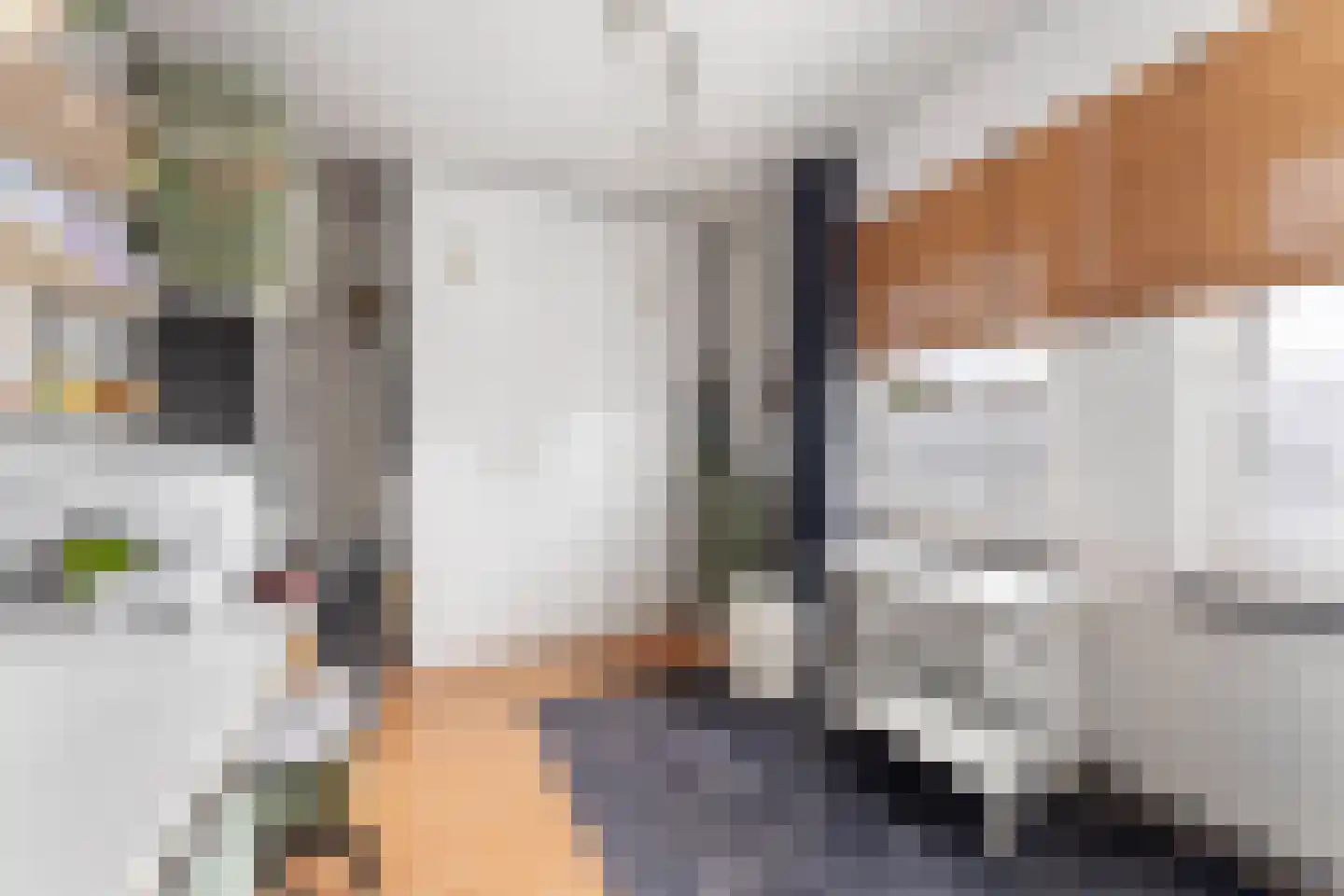 Bovenstraat 10 Limbricht thumbnail 19