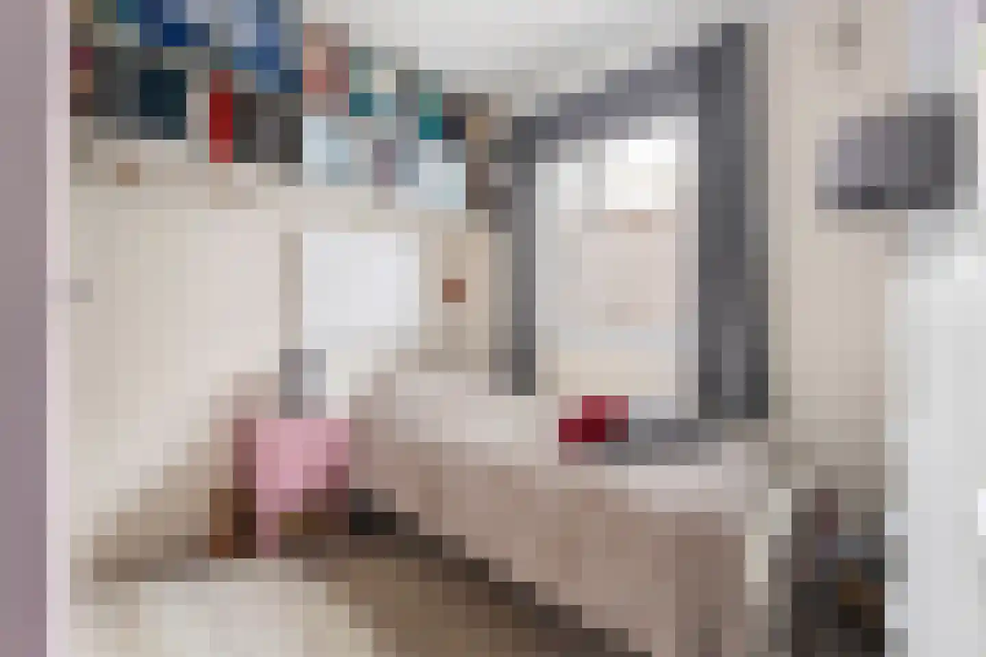 Bovenstraat 10 Limbricht thumbnail 22