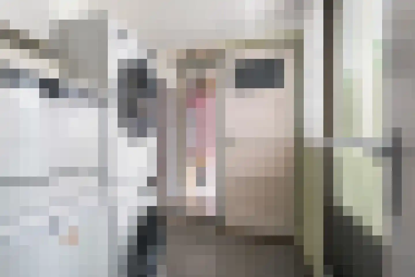 Bovenstraat 10 Limbricht thumbnail 23
