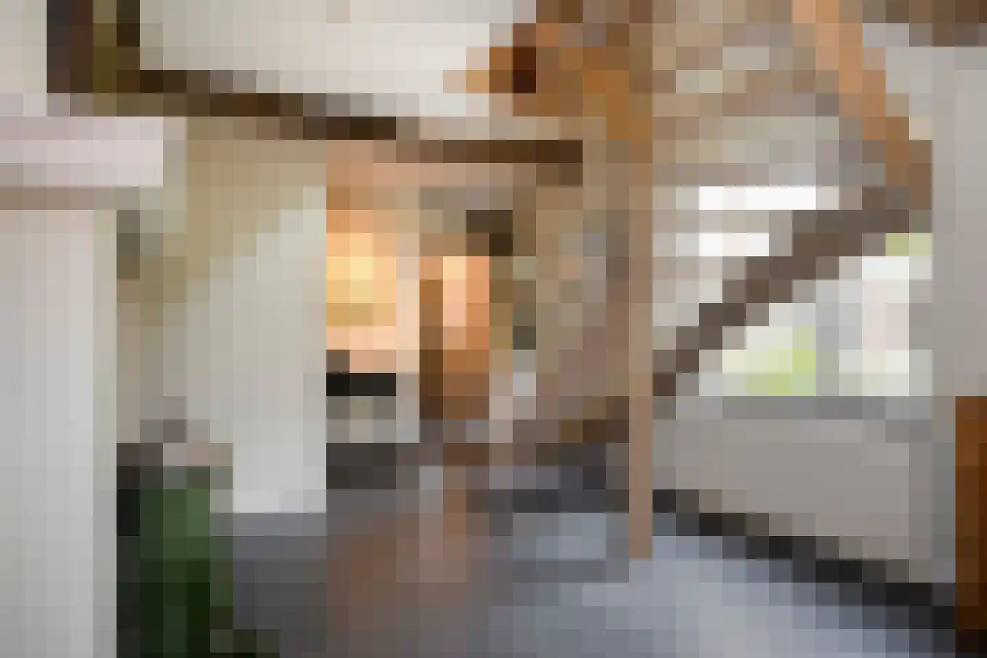Bovenstraat 13 Noorbeek thumbnail 27