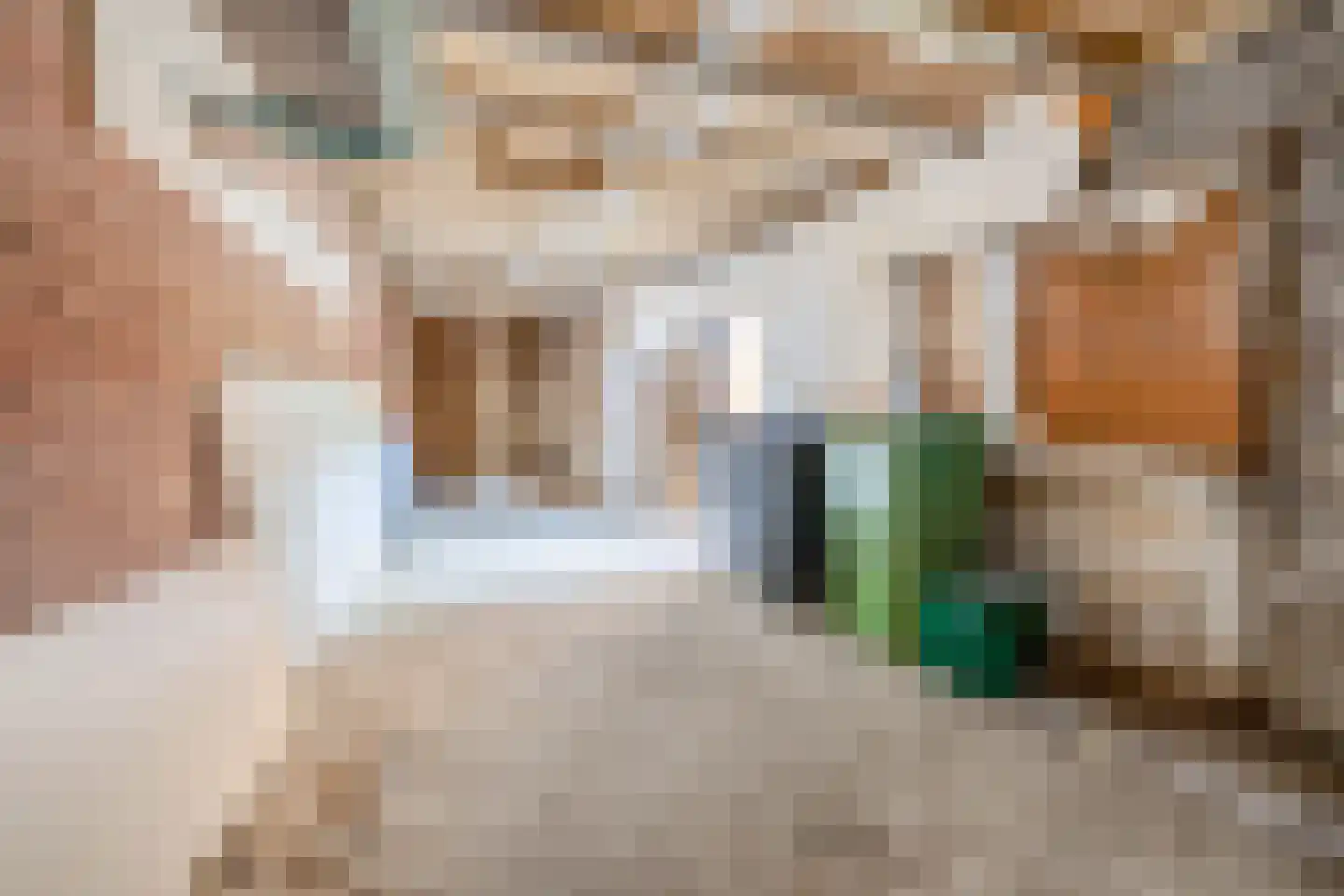 Bovenstraat 14 Hoeven thumbnail 28
