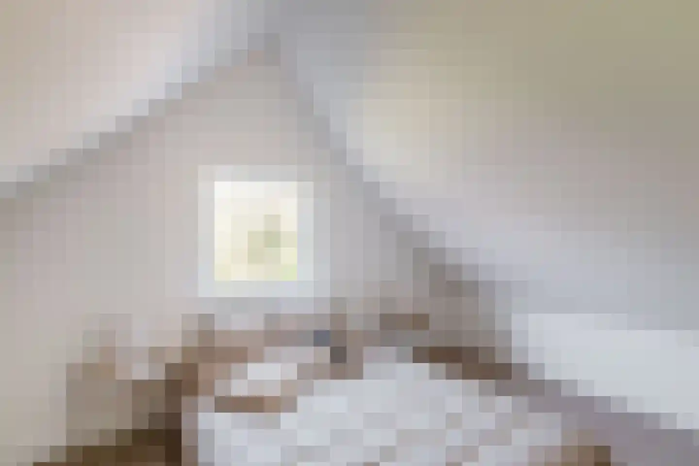 Bovenstraat 14 Hoeven thumbnail 29