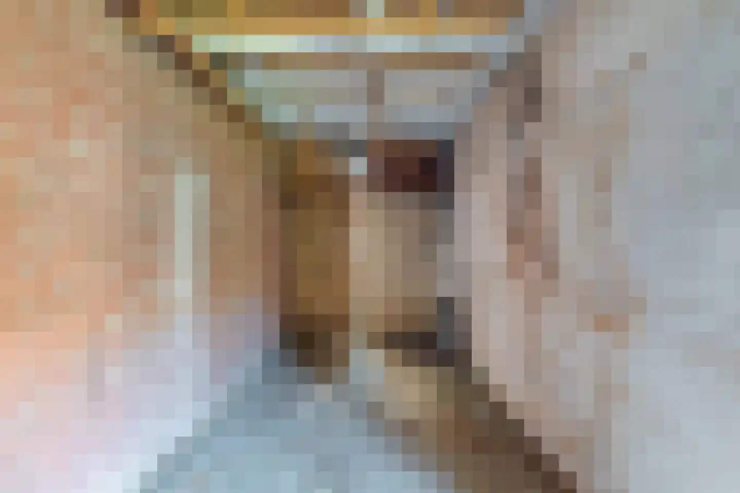 Bovenstraat 14 Hoeven thumbnail 38