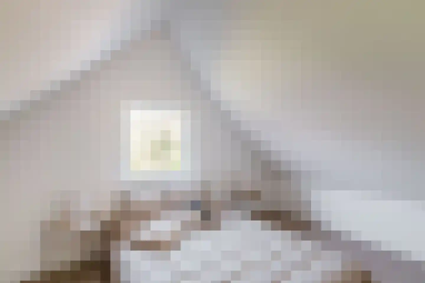 Bovenstraat 14 Hoeven thumbnail 4