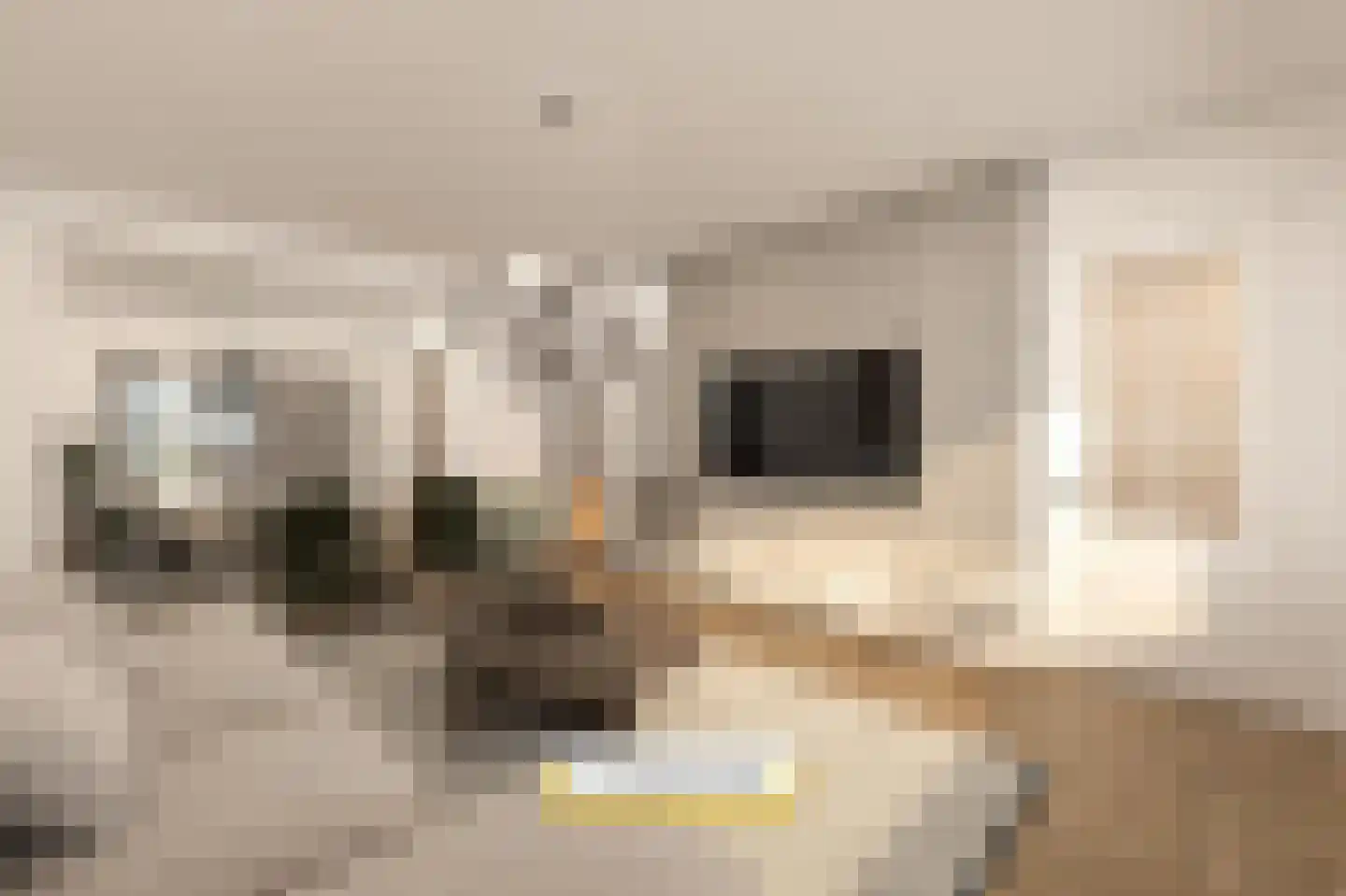 Bovenstraat 14 Hoeven thumbnail 6