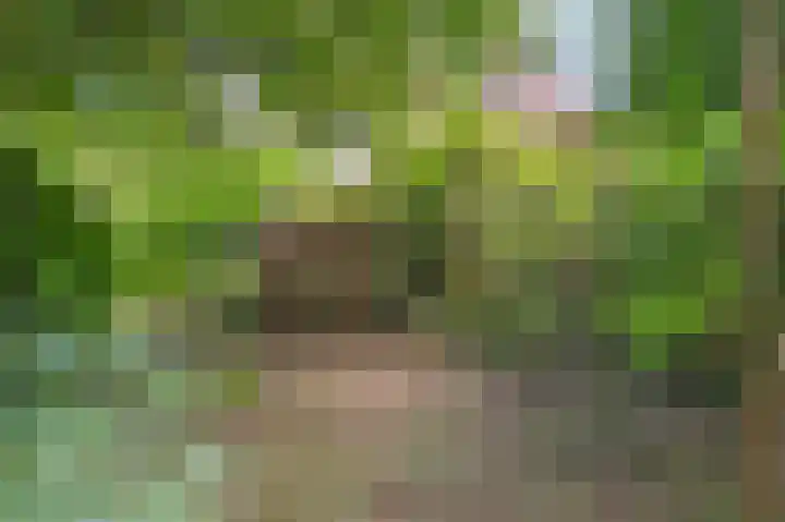 Bovenstraat 16 Noorbeek thumbnail 31
