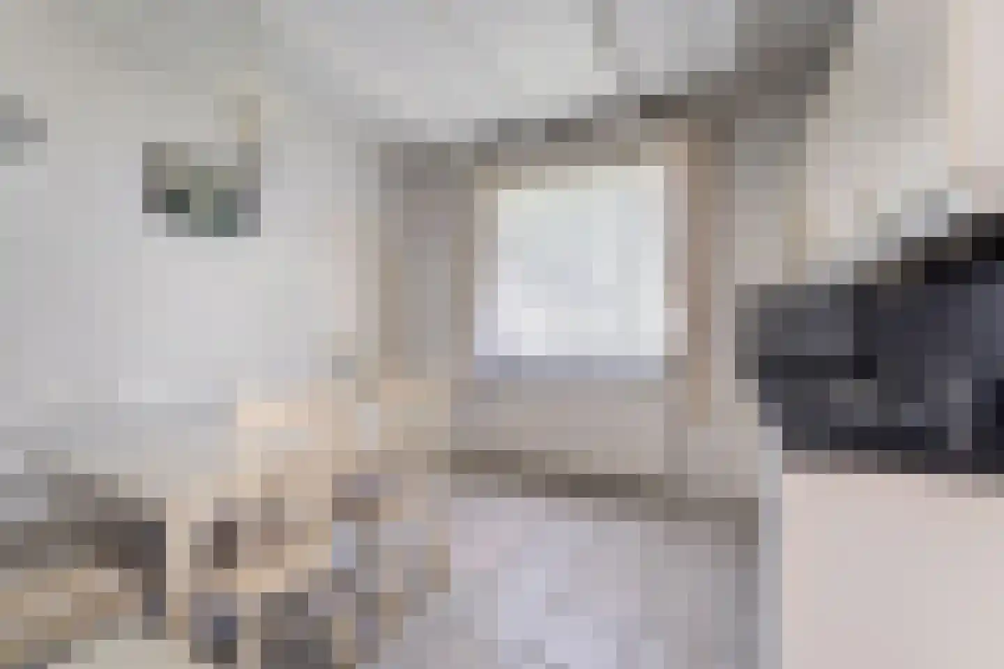 Bovenstraat 18 Limbricht thumbnail 17