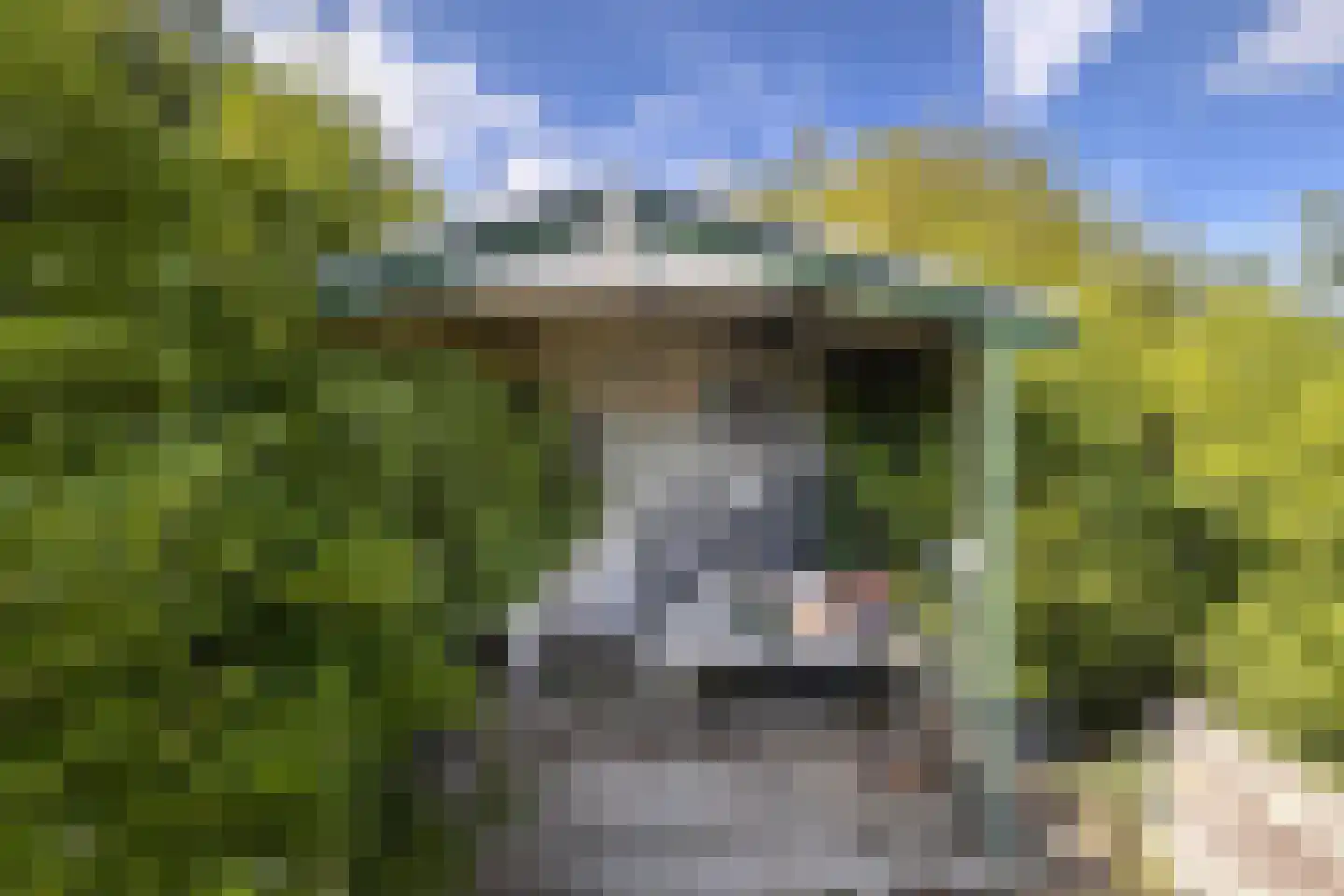 Bovenstraat 18 Limbricht thumbnail 20