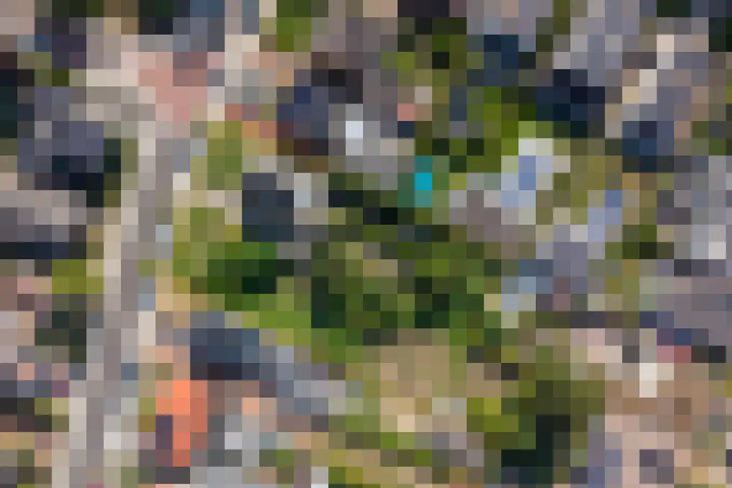 Bovenstraat 18 Limbricht thumbnail 6