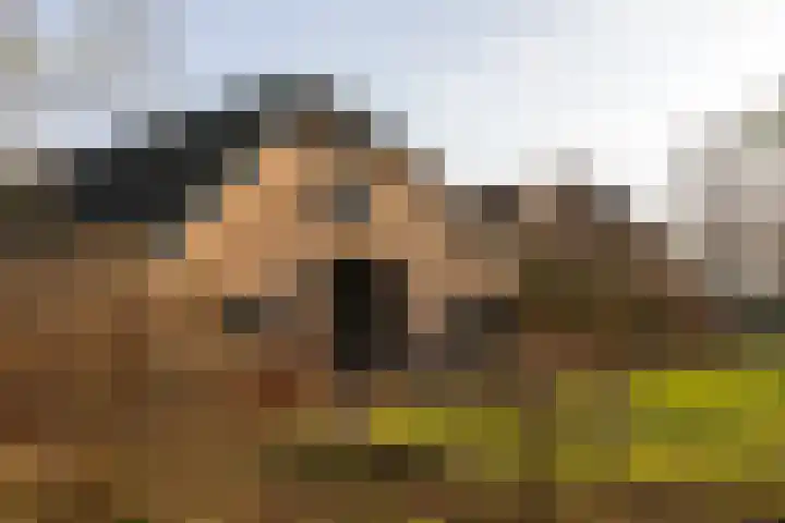 Bovenstraat 20 in Bronkhorst