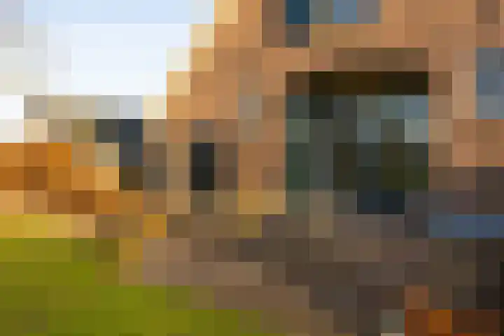 Bovenstraat 20 Bronkhorst thumbnail 38