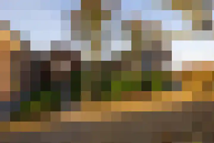 Bovenstraat 20 Bronkhorst thumbnail 43